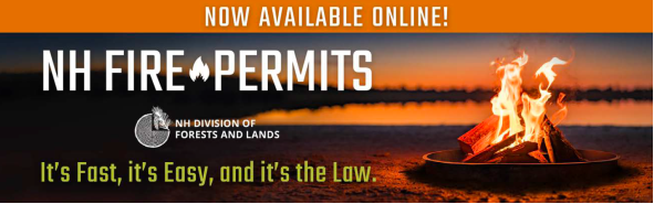Online Fire Permits Now Available Link